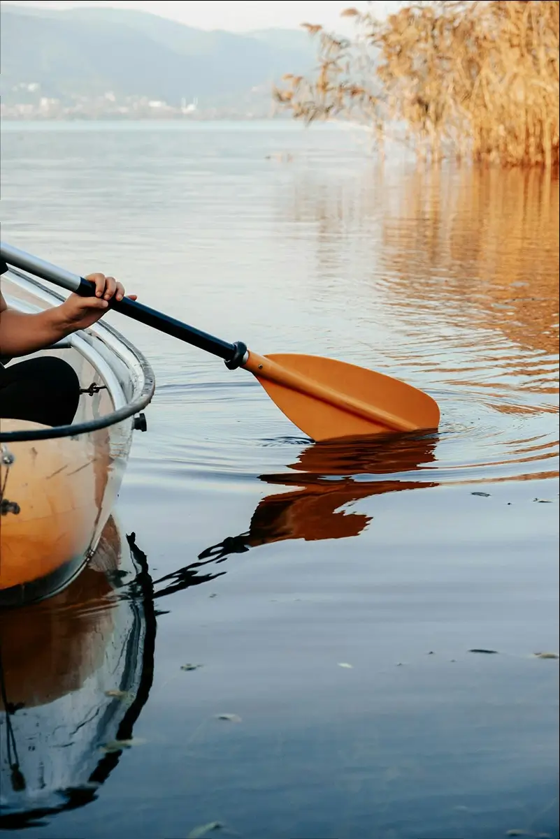 dewatermark_ai_1744076697840_1-1 (1)